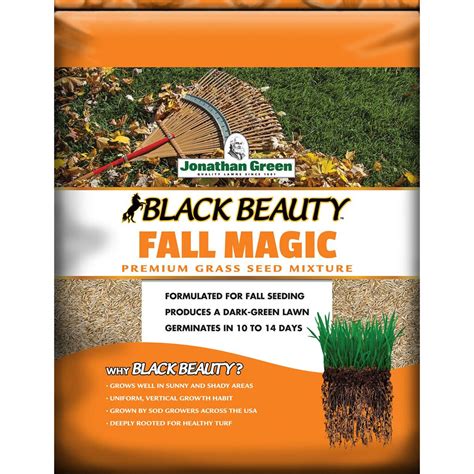 Onyx Beauty Autumn Magic Grass Seed: Your Key to a Stunning Lawn